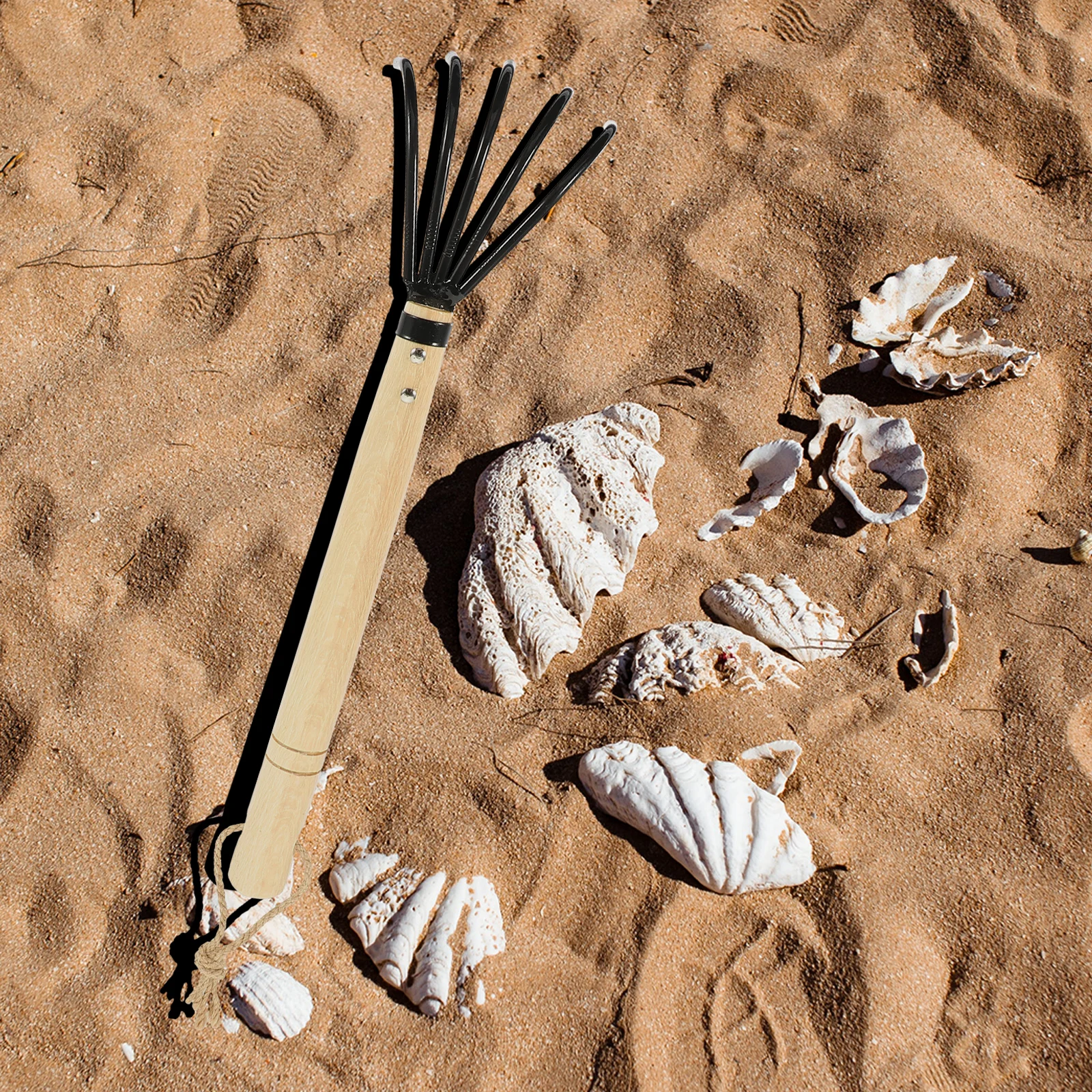 

Five-toothed Garden Rake Beach Clam Shell Digging Tool Rust Resistant Carbon Steel Handle Loosening Soil Wood Handle Suitable