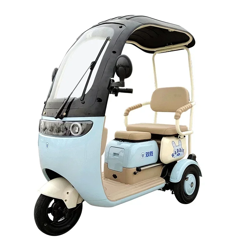 

Leisure Electric Trike for Adults Safe and Smooth Commuting 60v Passenger Tricycle Convenient for Cargo Use Custom Color Logo