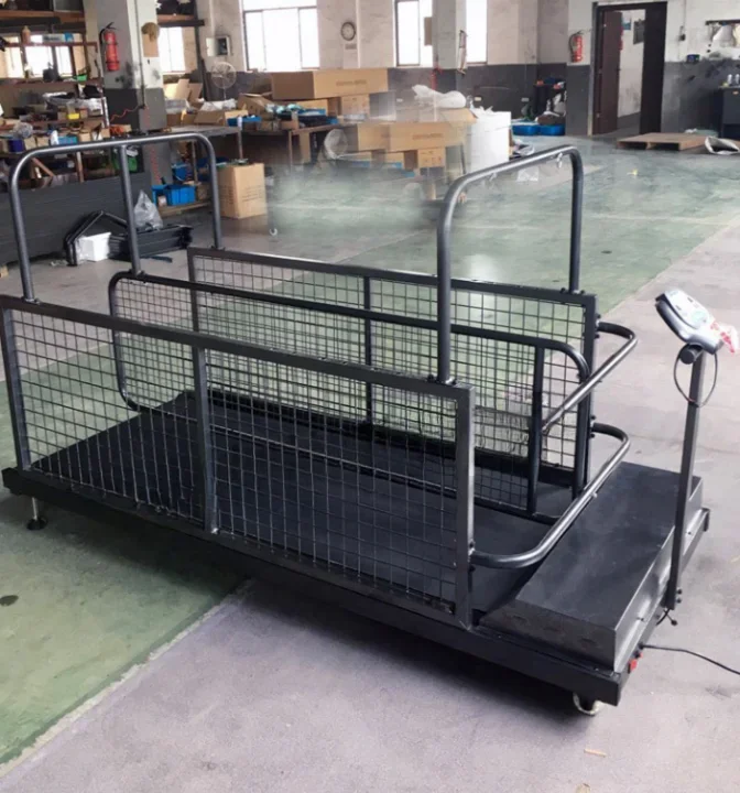 Factory Direct Customized Treadmilll For Two Dogs For Pet Rehabilitation Pet Treadmill Dog Training Machine