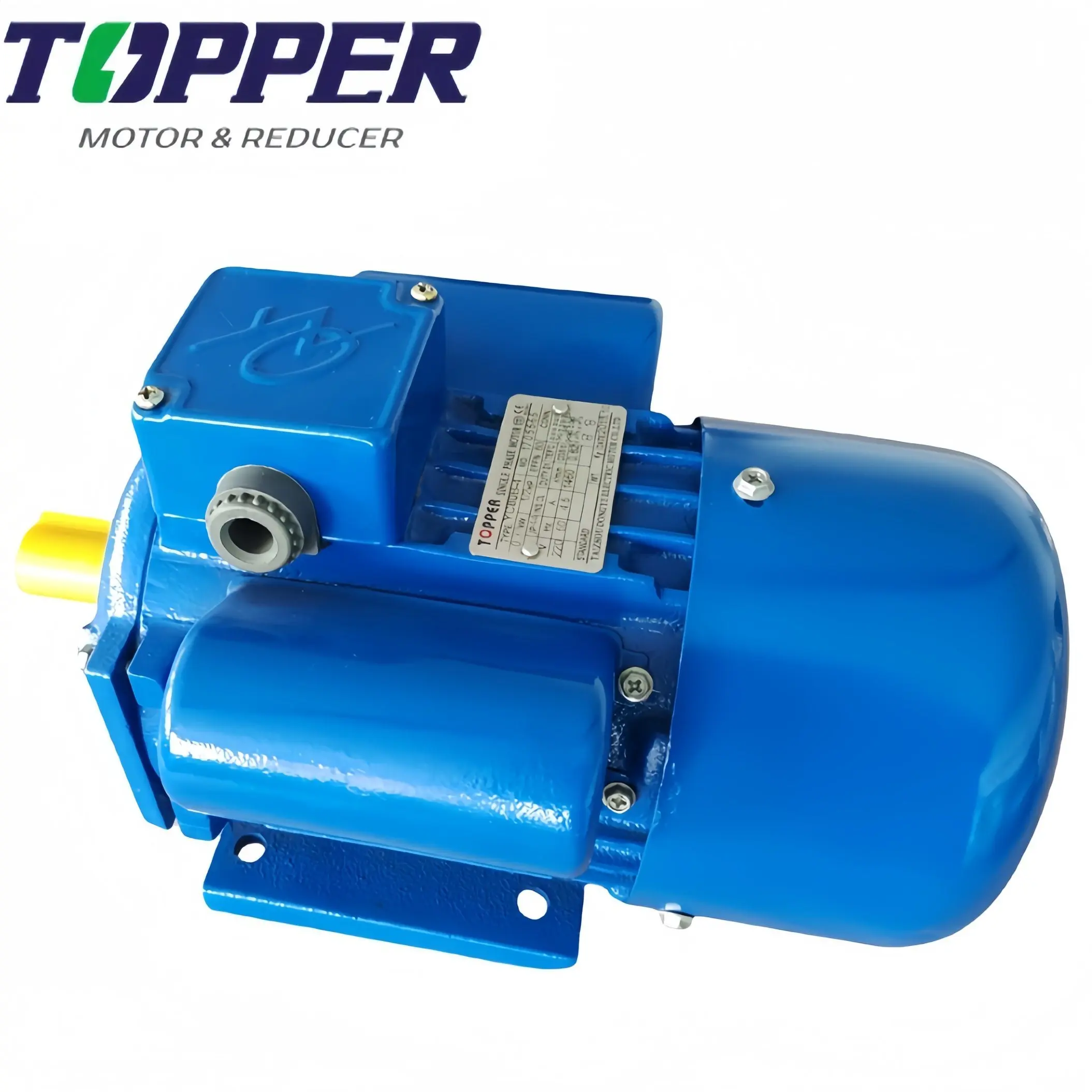 Dustproof and Waterproof 220V 3000rpm Single Phase Asynchronous Electric Motor for Medical Equipment