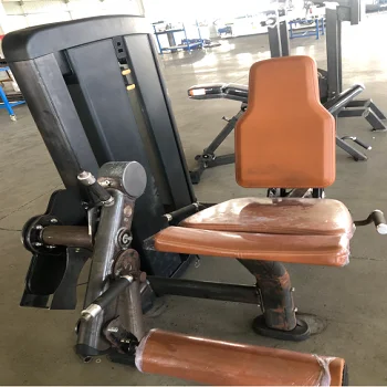 

Dual-Functional Indoor Sports Trainer Wholesale Fitness Equipment with Leg Extension Gym Pin Load Selection Machines
