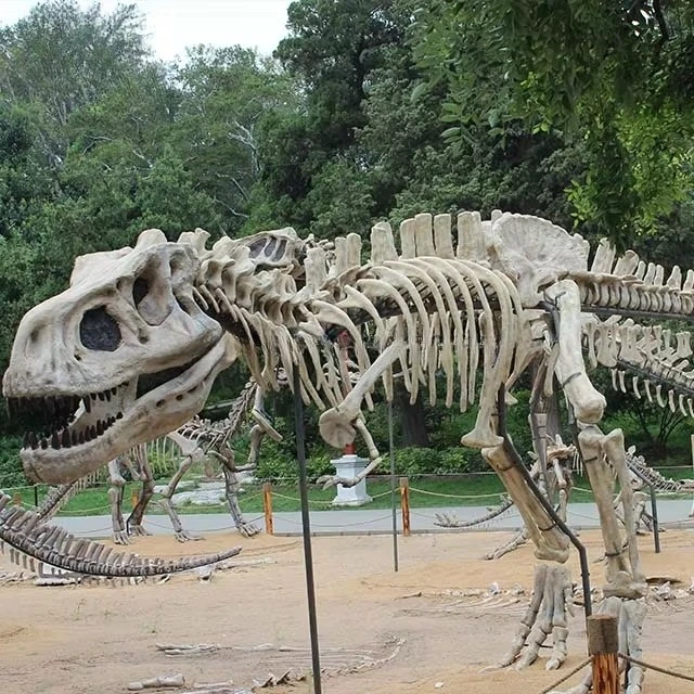 High Simulation Artificial   Dinosaur Model Fossil T-Rex Skeleton