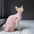 Pink 4-leg