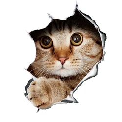 LYKX Fashion 3D Cat Car Sticker Automobiles Motorcycles Exterior Accessories Vinyl Decals for Bmw Audi Ford Lada Vw