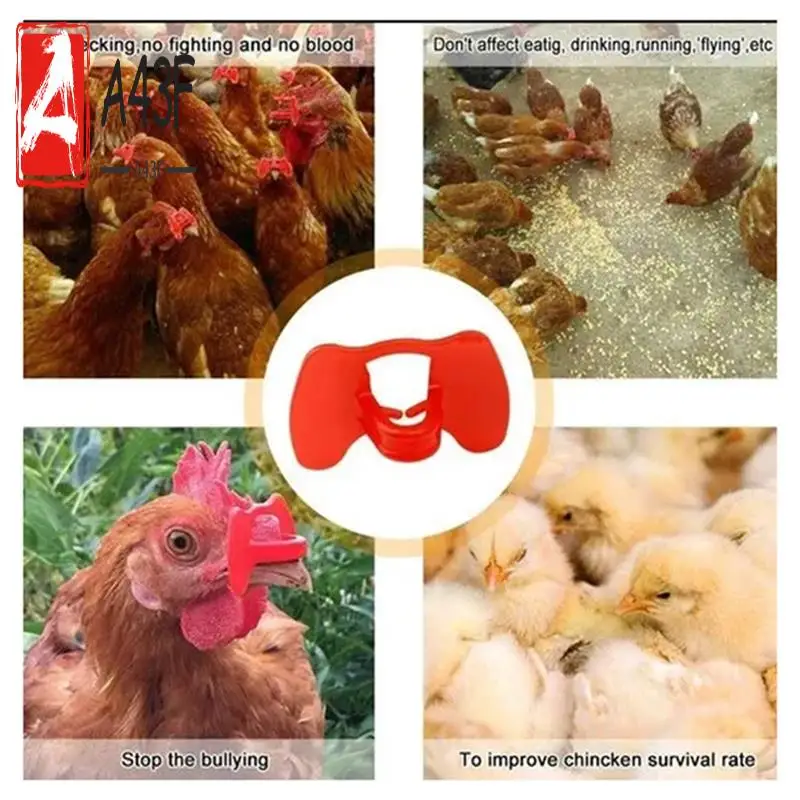 

A43F-Glasses For Preventing Chicken Pecking, Anti-Fighting Goggles, Non-Stick Chicken Glasses Mouth Snap Ring