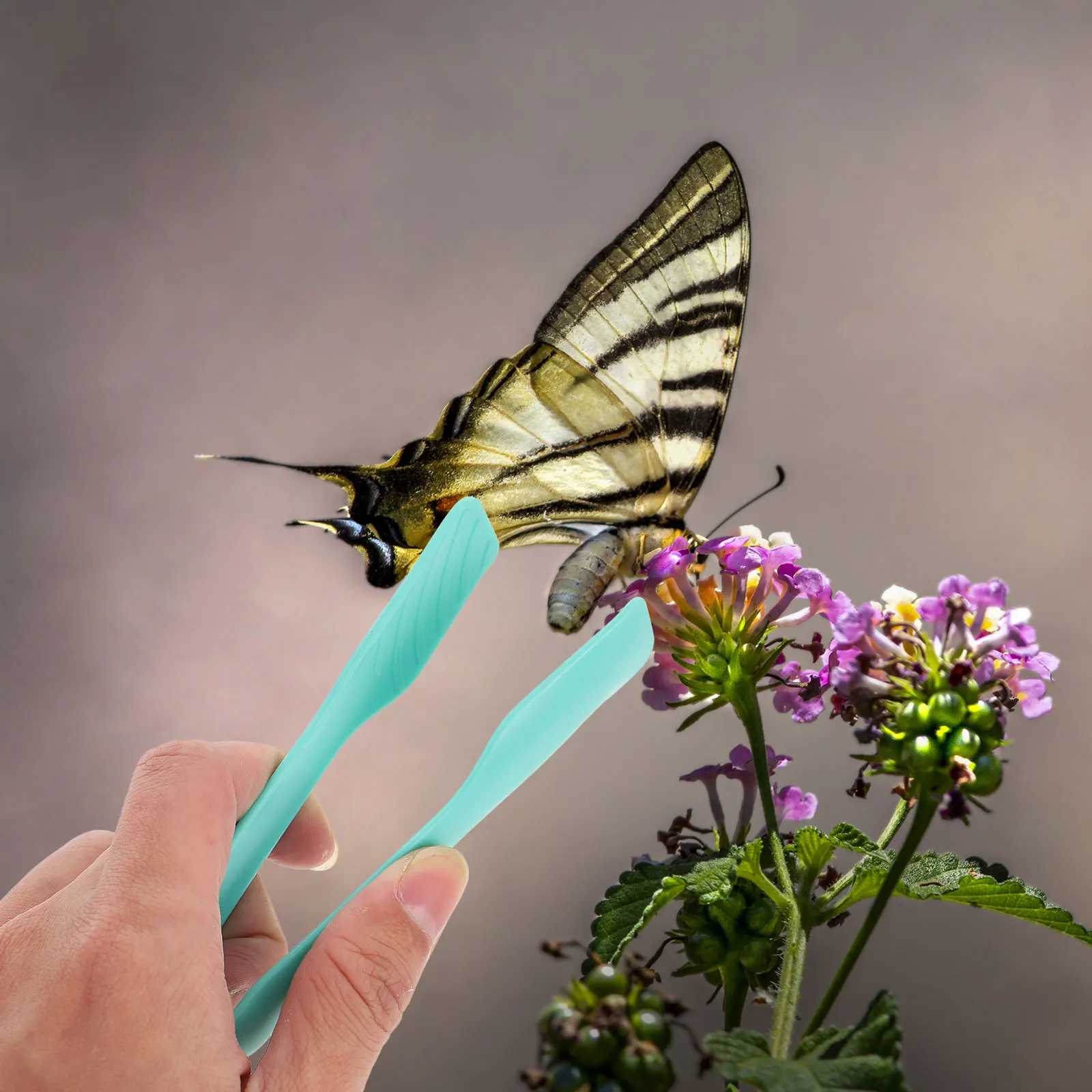 

20 Pcs Toddler Tongs Tweesers Preschool Tweezers Plastic Children Forceps Kids Sensory