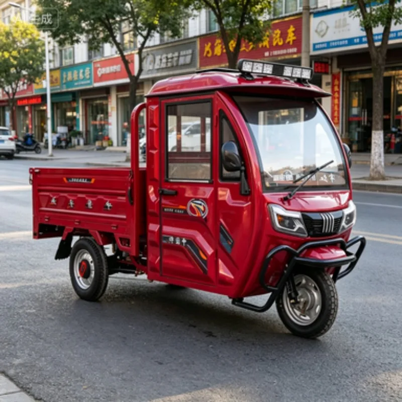 Qpen 500W-800W Electric Tricycle for Adults 60V 3-Wheel Passenger Tricycle Unique Design Motor Open Body DOT Certified view 6