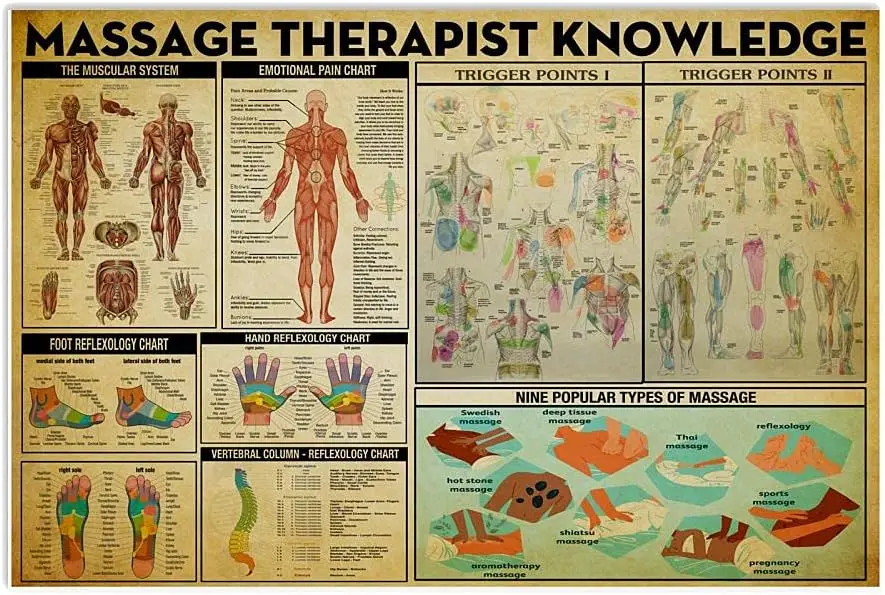 Panneaux métalliques en étain pour connaissances du thérapeute de Massage, infographie de Massage, affiches rétro, Plaques de guidage pour salle de thérapie de Massage, panneau de maison