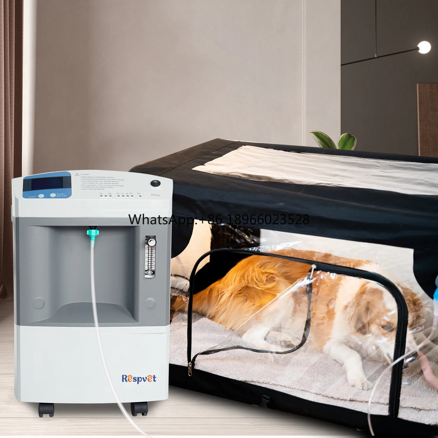 Fast Shipping in Stock JAY-10 10L Animal Veterinary Use Oxygen Concentrator