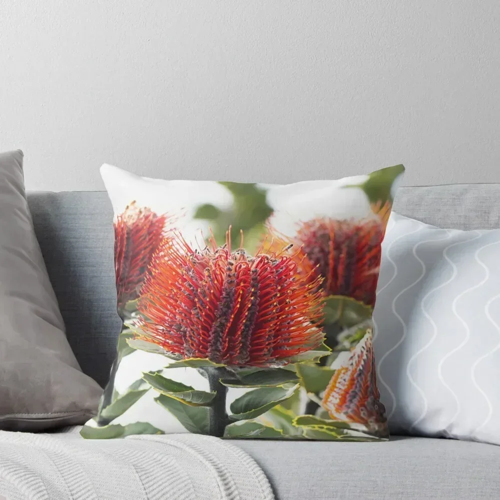 

Scarlet Banksia - Western Australian wildflower Throw Pillow Room decorating items Custom Cushion Photo Sofas Covers pillow