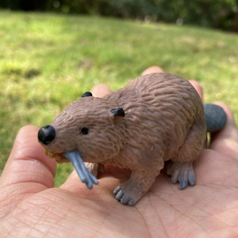 Realistic Animal Toy Model Father Male Beaver Resin Figure Figurine Home/Office Decor Collectible Toy Kid Early Education