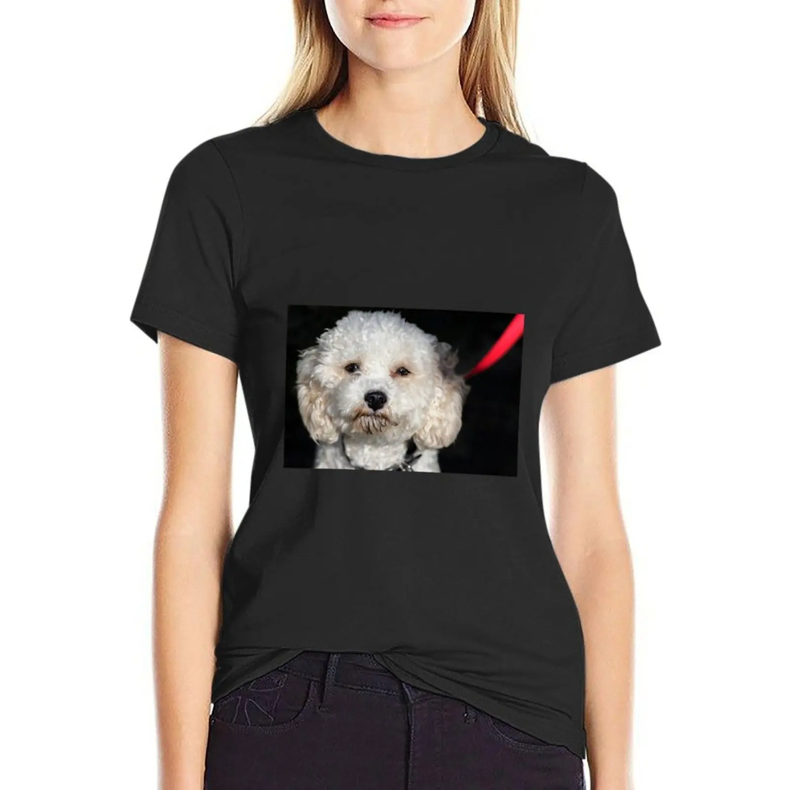 Cavachon.T-Shirt damski kawaii ubrania graficzne t-shirty dla kobiet