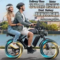 Electric Bike ENGWE 250W Motor 48V28.6AH Dual Battery E-bike Mountain 20*4.0 Inch Fat Tire Snow Hydraulic Brake Electric Bicycle
