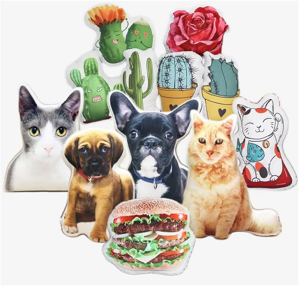 Maßgeschneiderte lustige Katzenkissen und Hündchen-Sitzkissen. Personalisierte Fotokissen für Geburtstage. Gedenk-Andenken für Haustiere