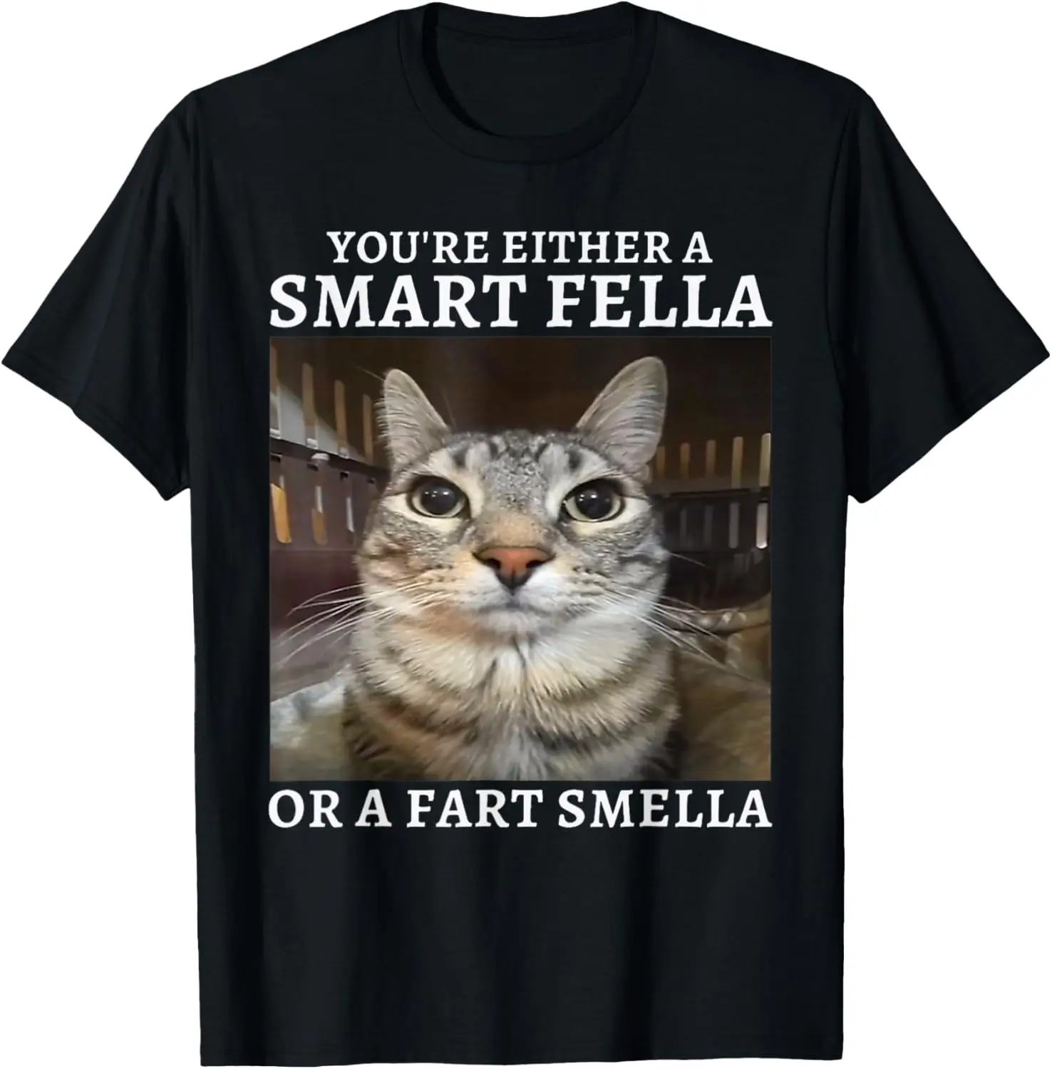 You're Either a Smart Fella or a Fart Smella Funny Cat Meme T-Shirt