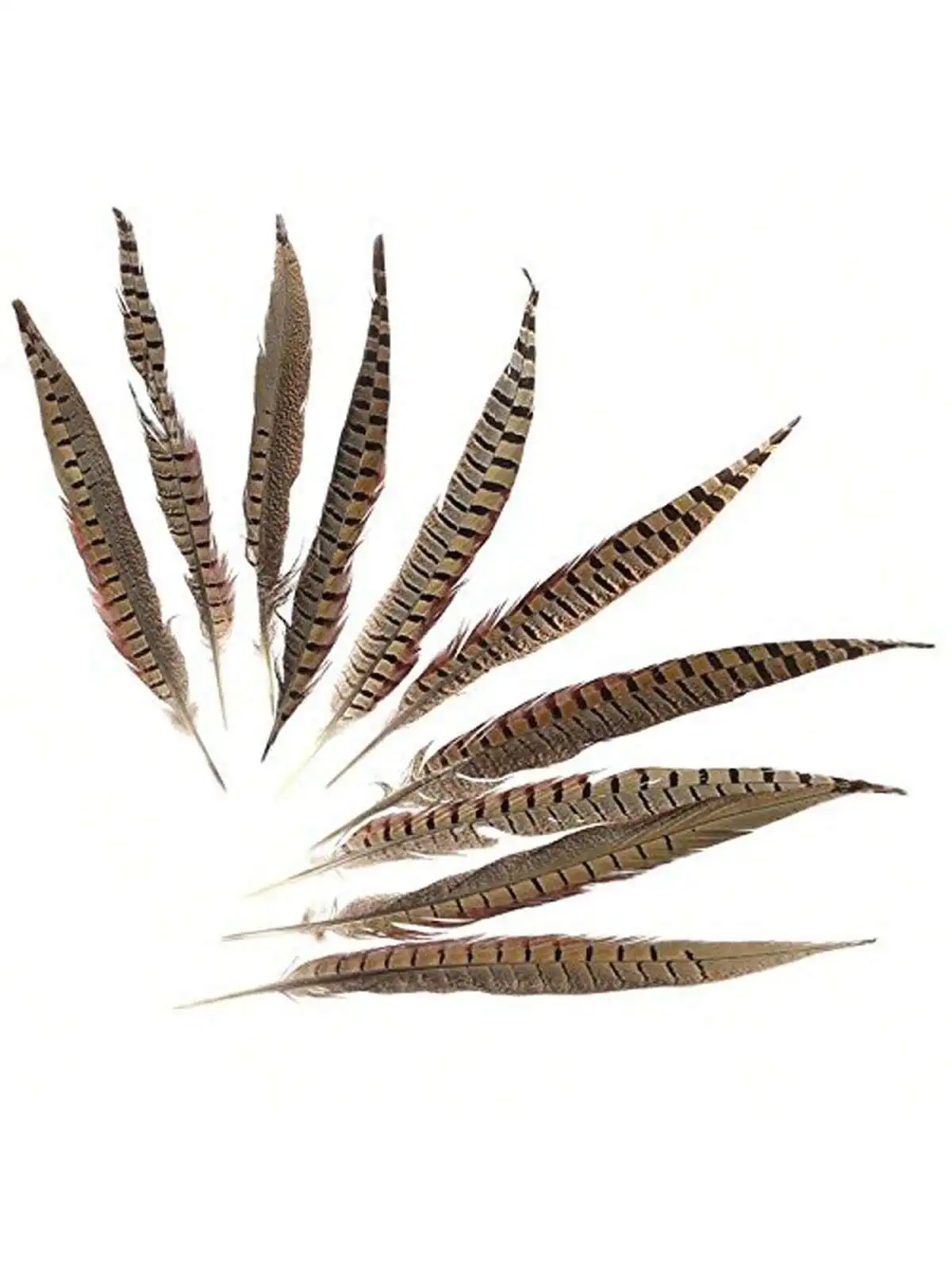 Set of 5pcs Natural Dyed Pheasant Tails Feathers 12-14 Inch DIY Decoration (Natural)