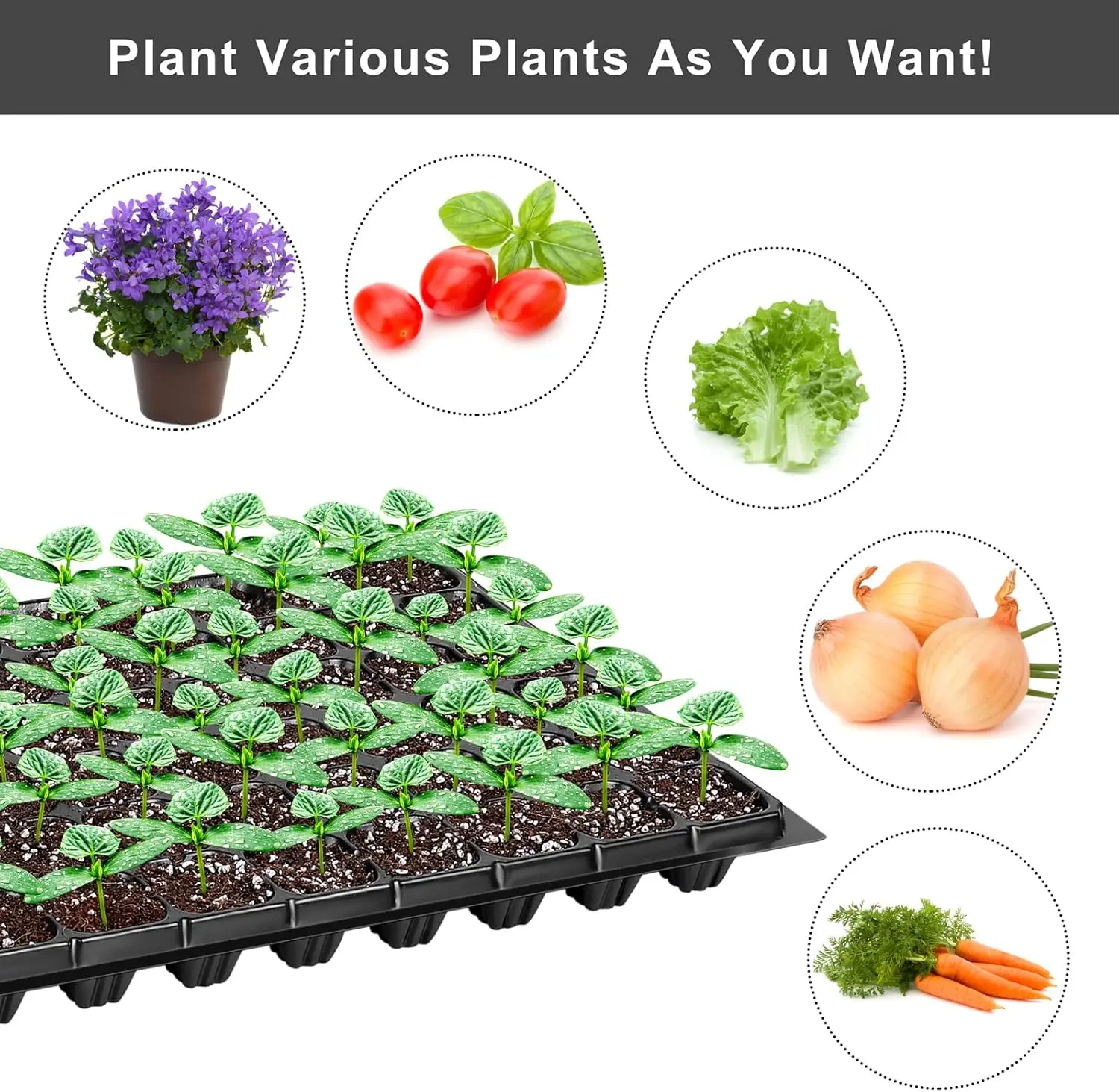 مجموعة صواني بداية البذور 72 خلية 1080 خلية نباتات صغيرة للحديقة إنبات النباتات 21.3 × 11 بوصة أواني الحضانة