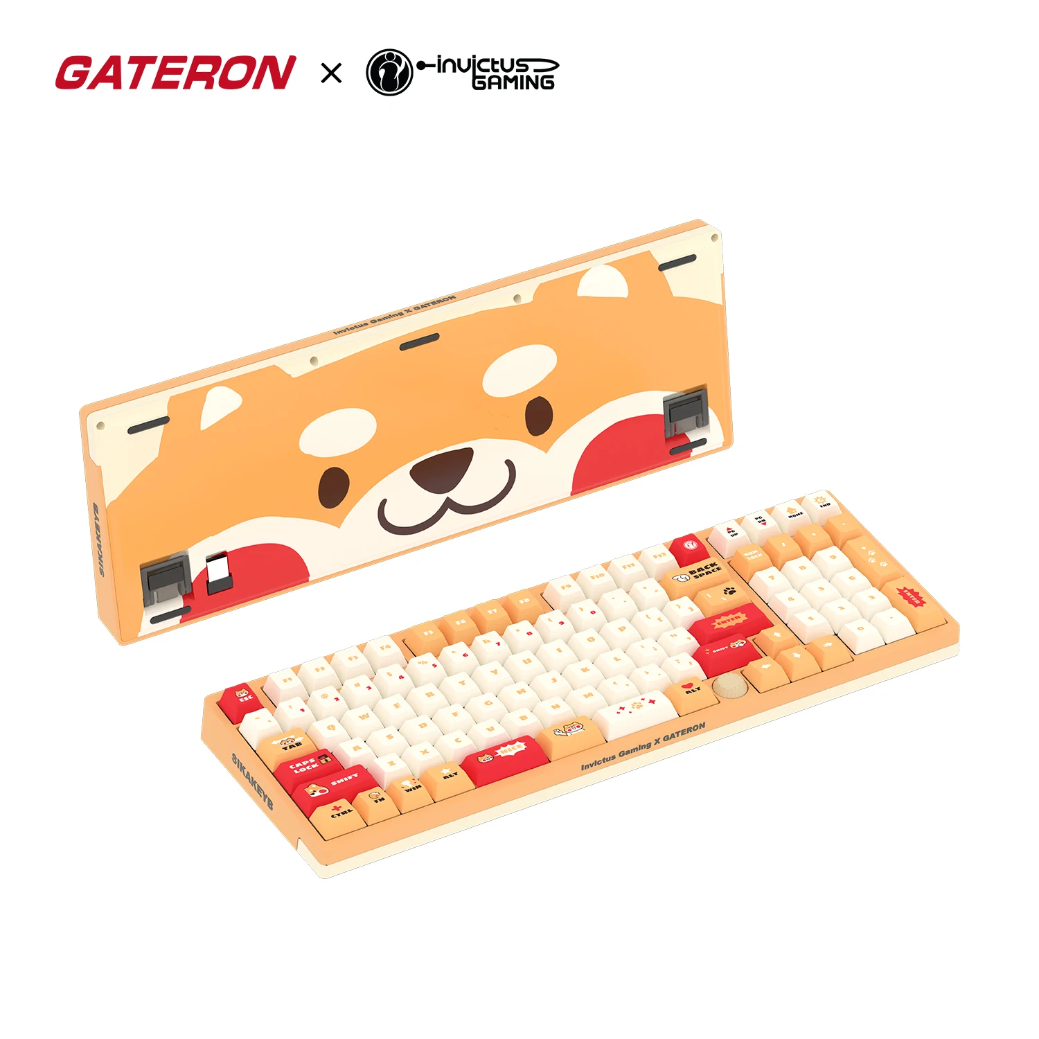 GATERON IG 98 Co-branded customized Mechanical Keyboard