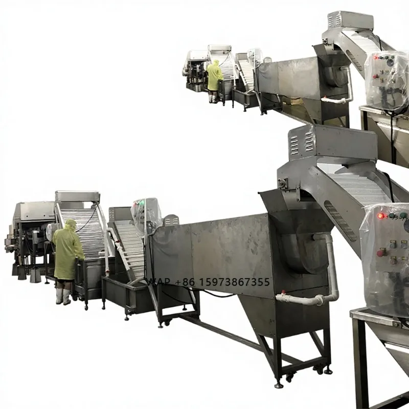 Zolim Automatic Shrimp Dehead Line Removal Machine & Head Removing System 10.8KW 380V for Shrimp Processing Production Line