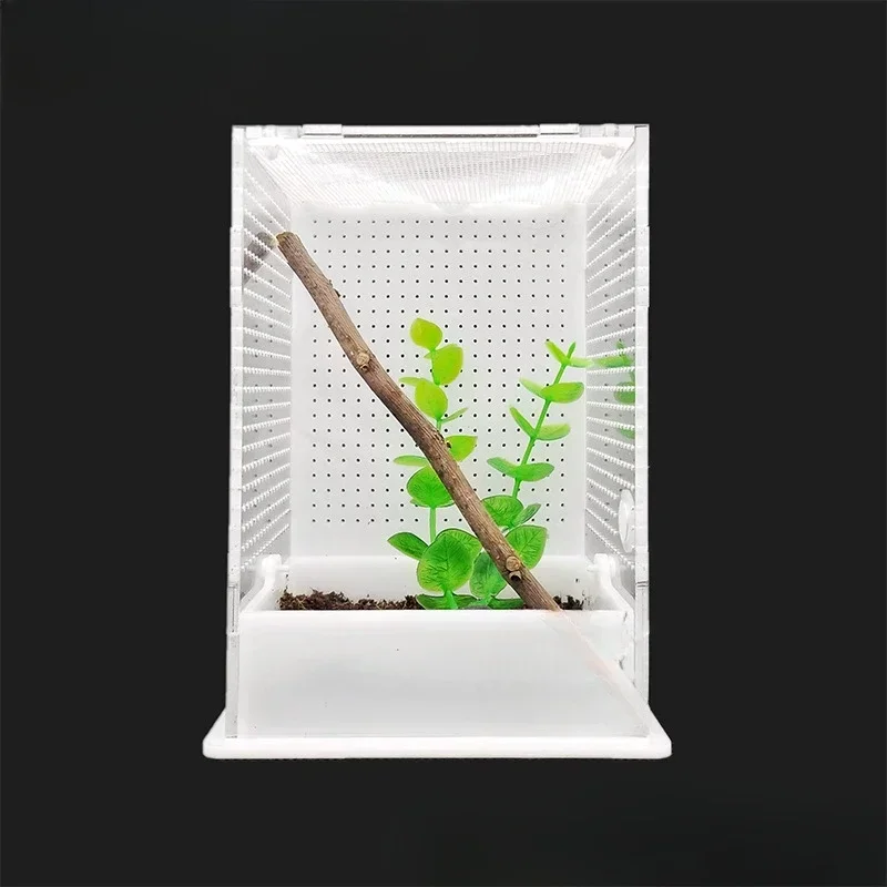 Container Acrylic Cage Feeding Box for Mantis Small Cricket Insects Reptile Supplies Insect Transparent Rearing Hatching Habitat