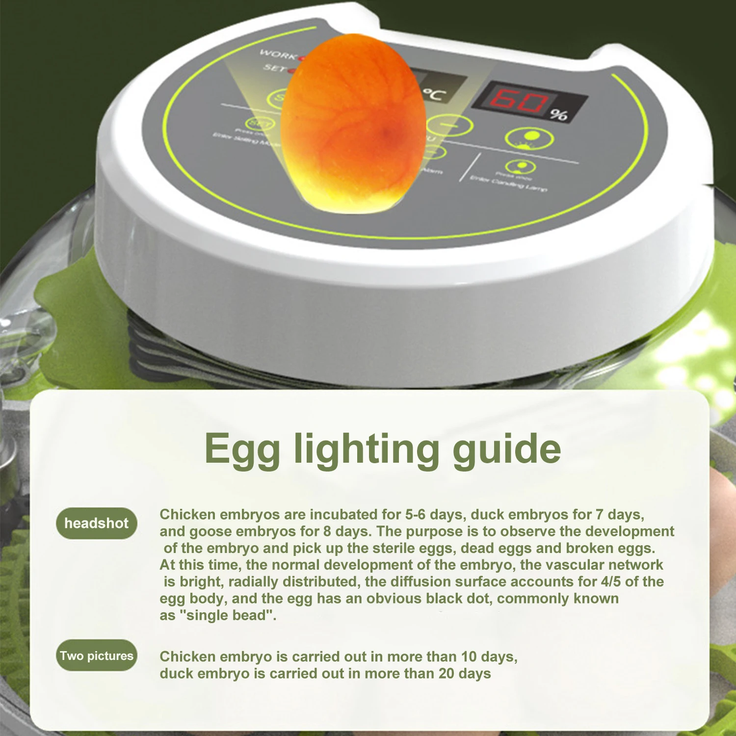 8/18 Eggs Automatic Egg Incubator Poultry Hatching Machine Temperature Humidity Control Noiseless Egg Incubator For Home EU Plug