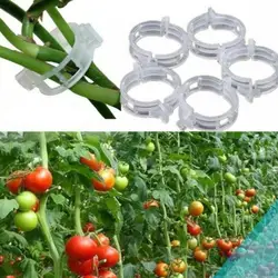 100pcs Garden Vegetables Tomato Vine Stalks Grow Upright Support Plant Clips For Cucumber Carob Garter Plants Agriculture