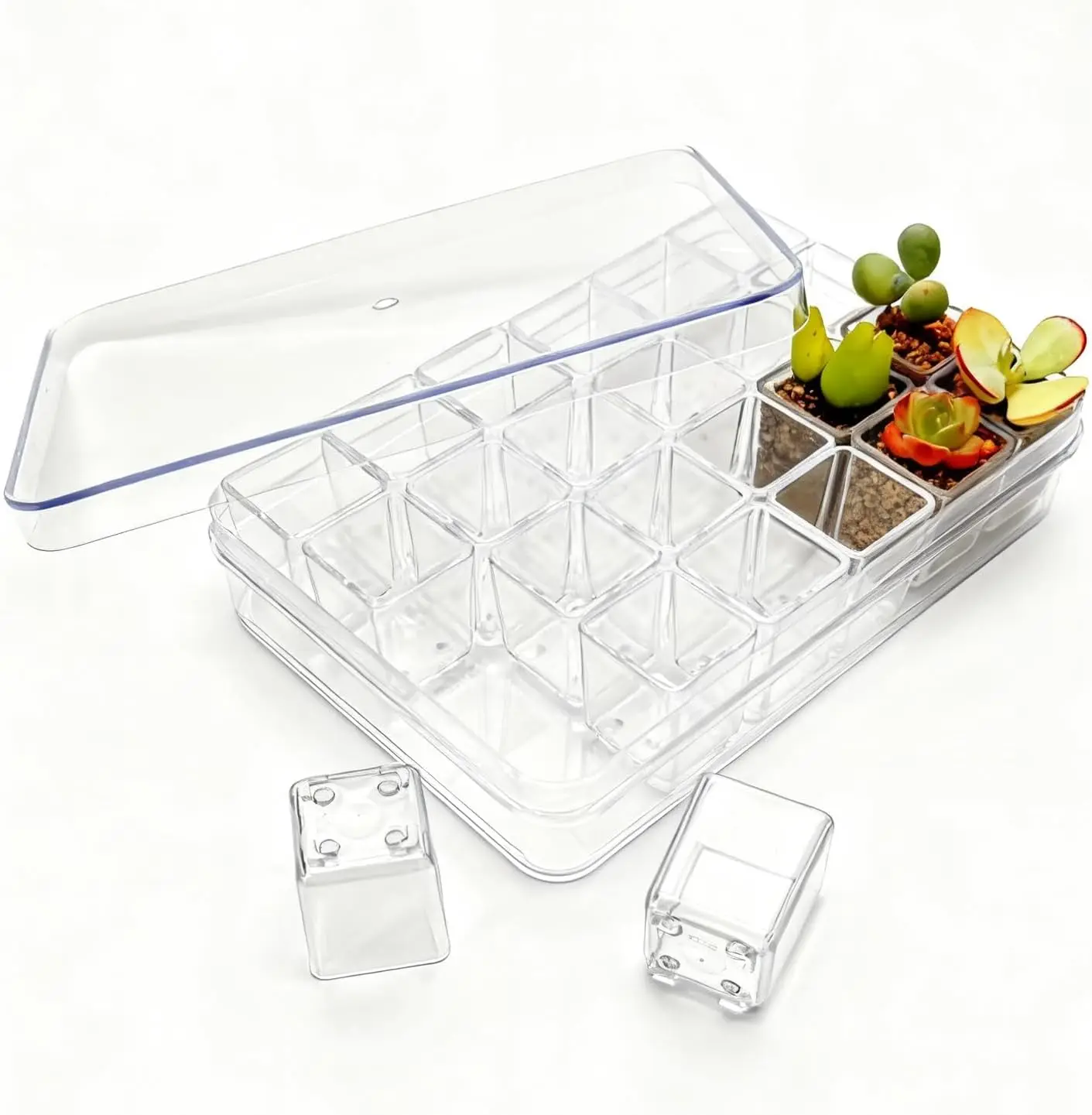 

24pcs Super Tiny Mini Clear Plastic Planter, 1.1" Small Succulent Nursery Pots with Drainage Hole & Storage Box with Lid