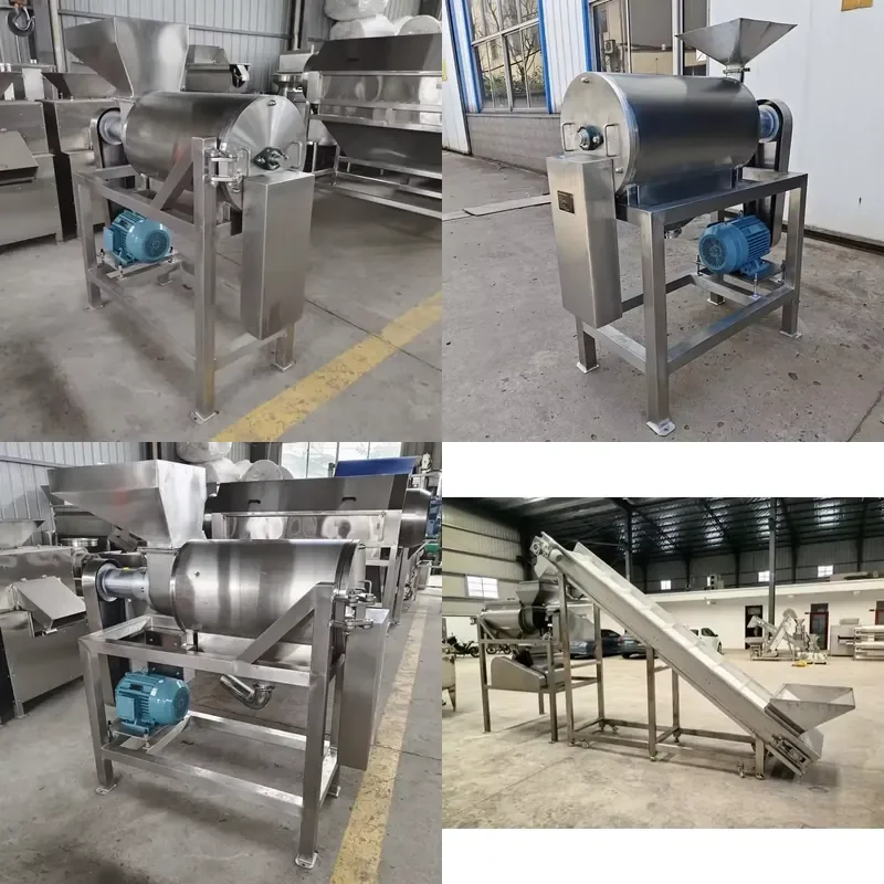 for Mango Processing Machine Pulper Extractor