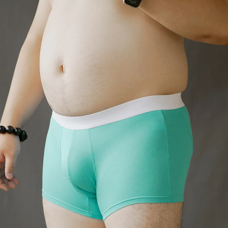 

Men's breathable U-Bulge briefs sexy lingerie Chubby large sizeshorts Underwear See-through Fashion new Underpants