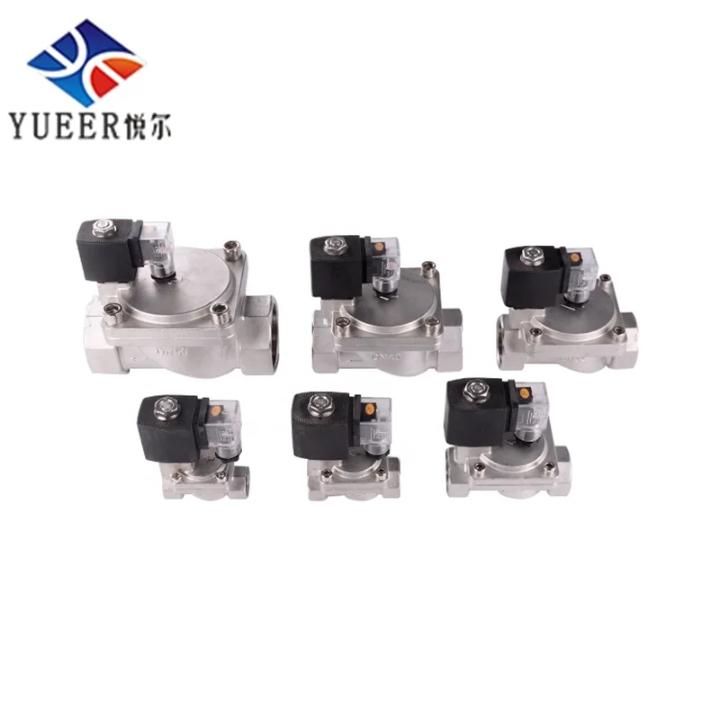 Factory Customized High Pressure Resistant DC24V 304 Stainless Steel pilot Solenoid Valve for Pass Through Water