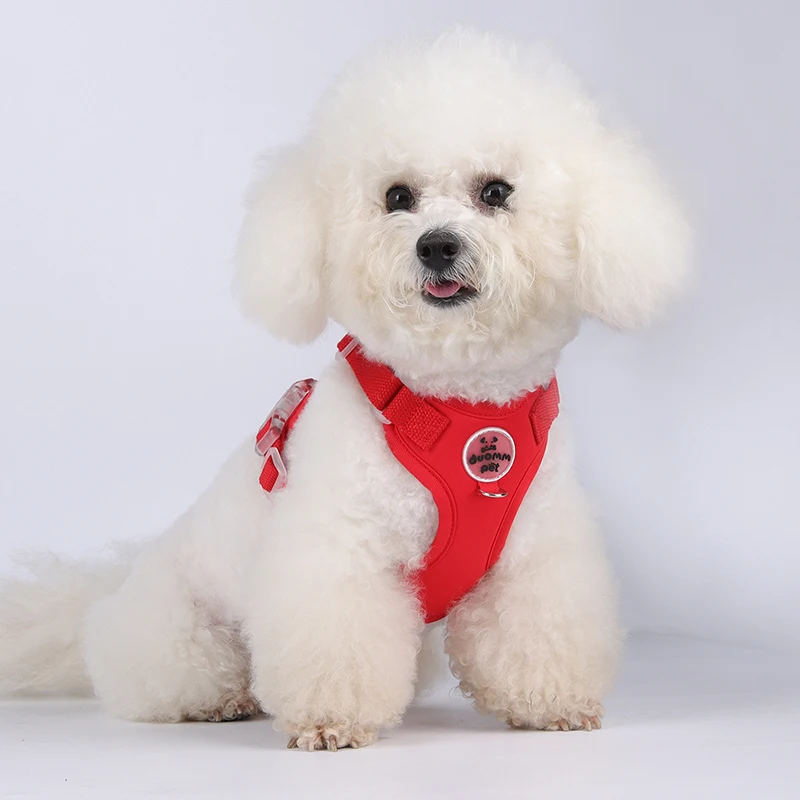 

Colorful Lightweight Dog Harness for Small Breeds -Dopamine Style Breathable No-Pull Pet Vest with Leash Comfortable Outdoor Use