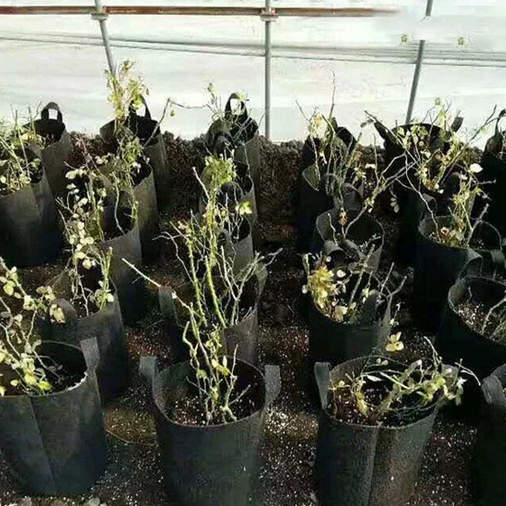 

3 pcs Planting Bag Non-Woven Breathable Garden Planter For Indoor Outdoor Vegetable Flower Growing Pouch Container