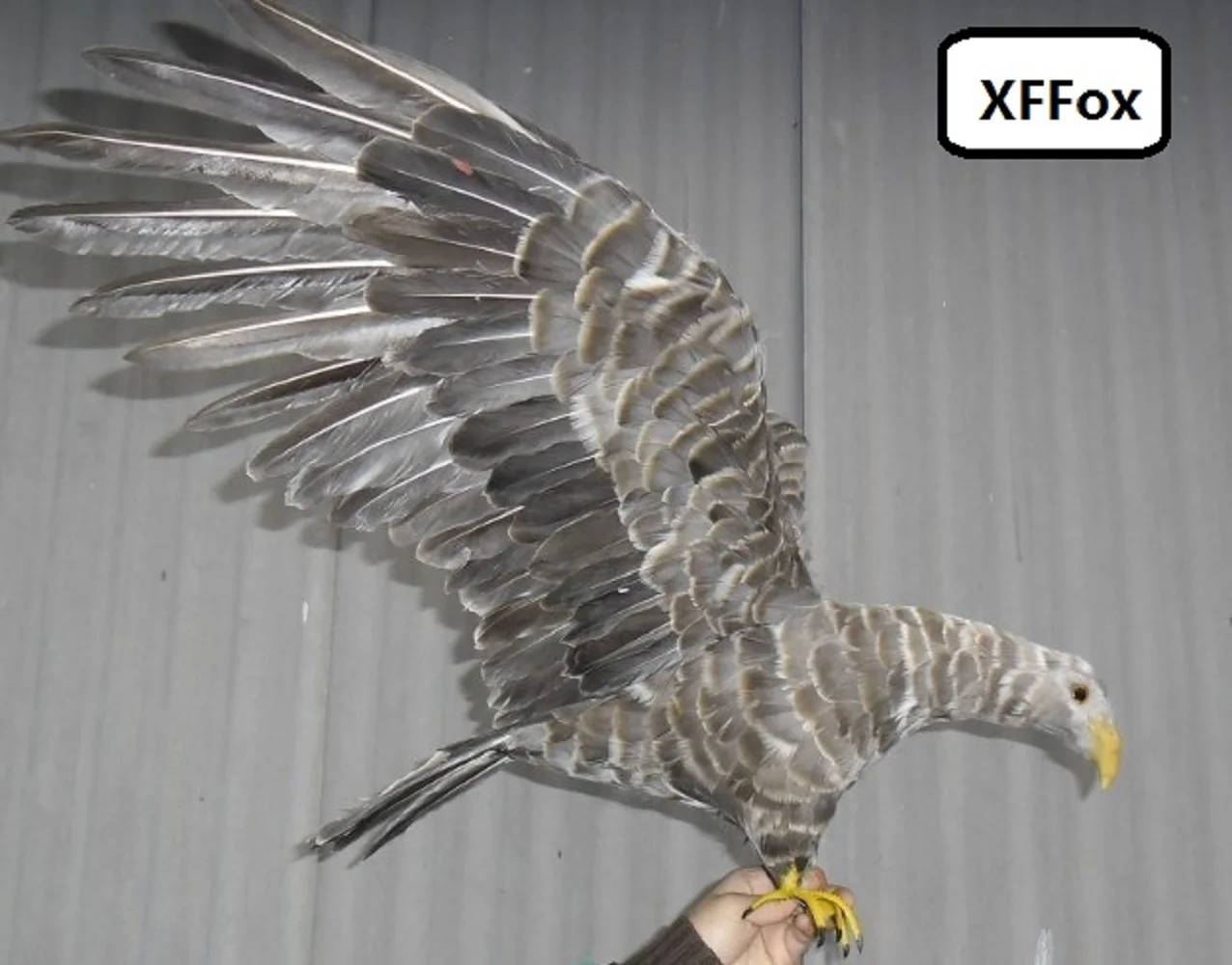 new big real life eagle model foam&feather simulation wings eagle toy home decoration gift about 45x90cm  xf0562