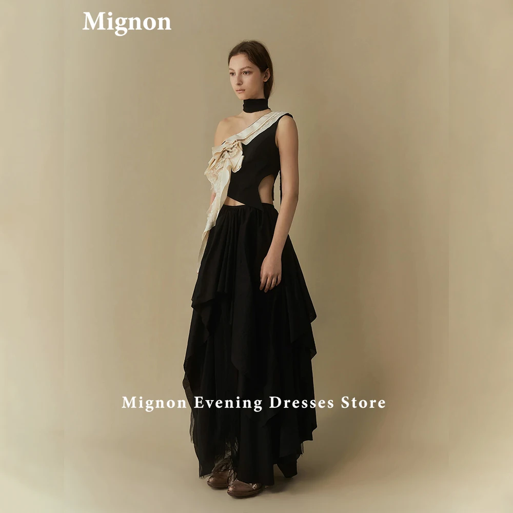 Mignon Organza One-Shoulder A-line Morden Style Lace Evening Dress Prom Dress Cocktail Party Dress Evening Dress for Women 2024