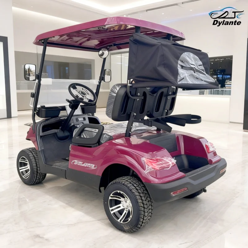 

Professionally Designed Two-Seat Electric Golf Cart With A 4000W Motor, Suitable For Hunting And Farming