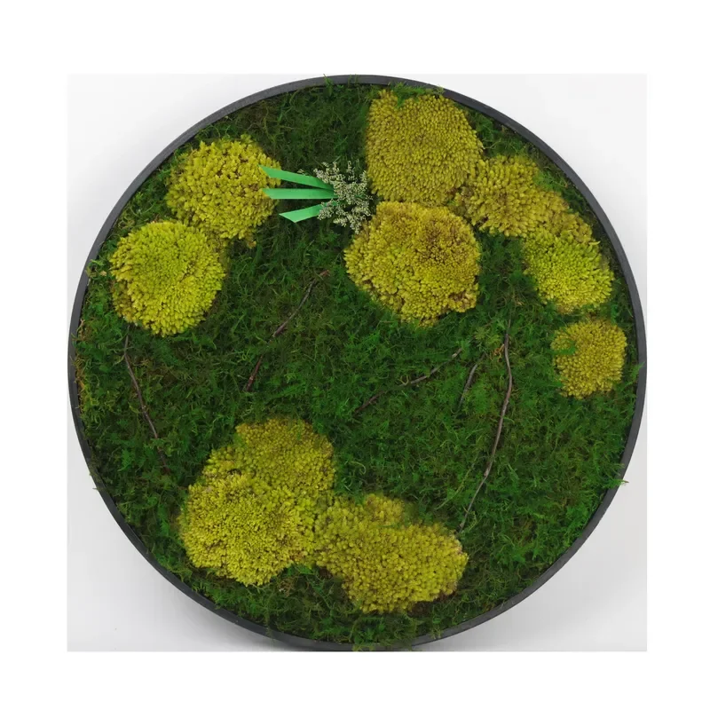 60 cm Round Shape Ready Made Office Decoration 3D Real Natural Moss Wall Art Frame Wholesale Stabilized Preserved Reindeer