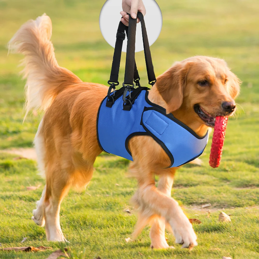 Training Disability Auxiliary Support Front Legs Pet Auxiliary Belt Pet Lift Support Harness Dog Lifting Belt Dog Walking