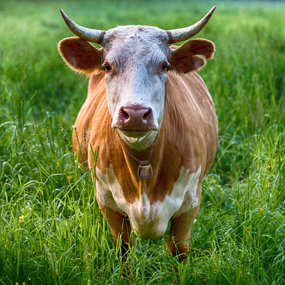 

BUTIFULSIC 1 Set Metal Horse Ox Bell Sheep Animal Training Jingle Cow Farm Jewelry Bronze Miniature Pet Rope Accessory