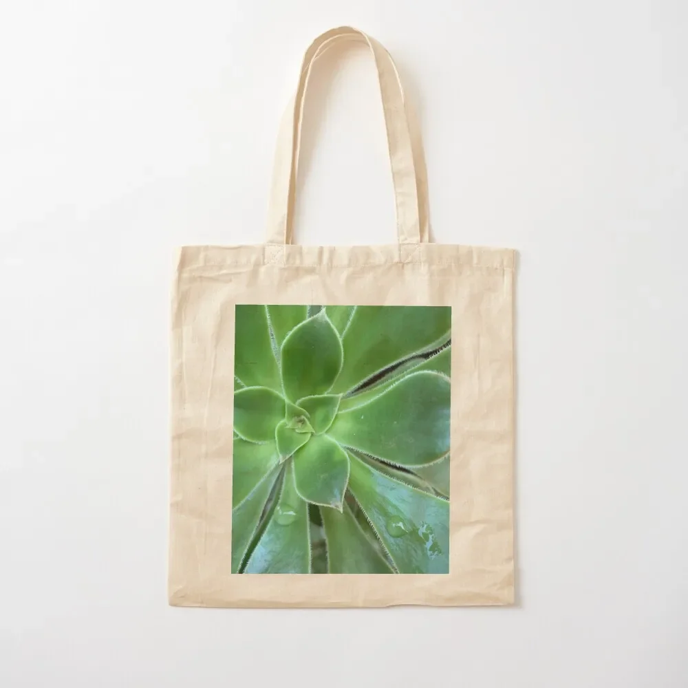 

Succulent Plant Tote Bag tote custom Women's sacs de shopping shopping cart bags