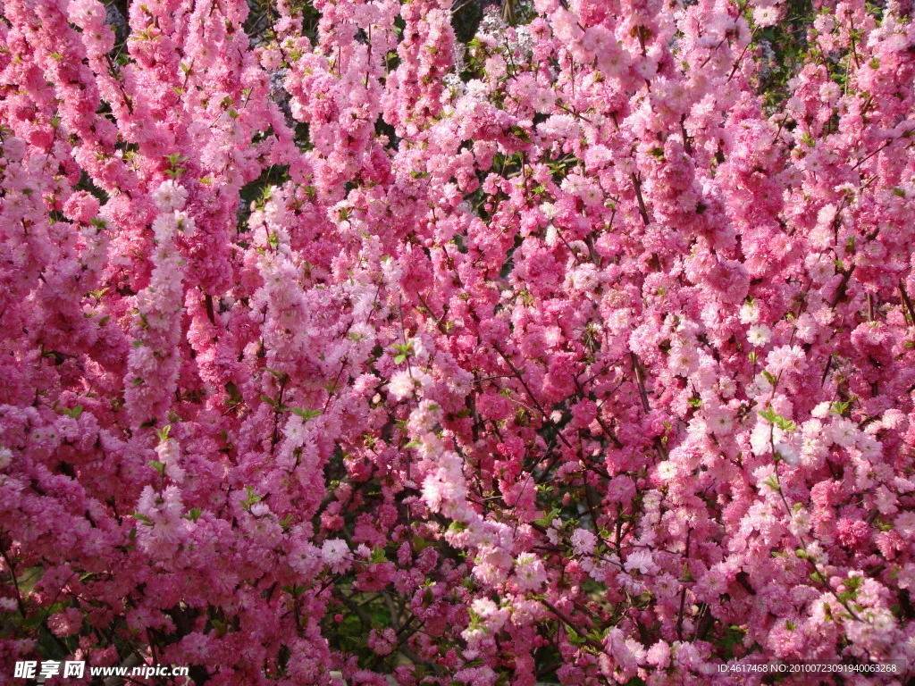 

4 шт. 1,9-дюймовые внедорожные шины для SCX10 90046 D90 TRX4 TRX6