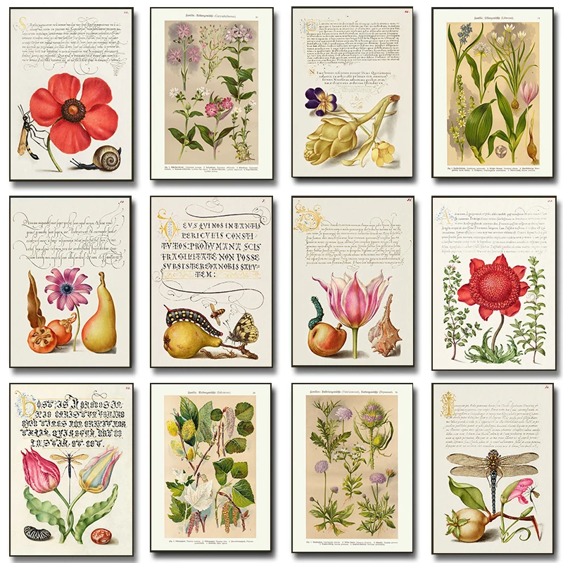 Botanical Tulip Scorpion Flowers Encyclopedia Calligraphy Posters Hyacinth Prints Canvas Painting Wall Art Pictures Home Decor