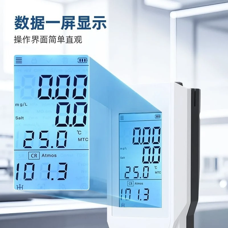 Misuratore di ossigeno disciolto portatile DO30-1 Misuratore di ossigeno disciolto con rilevamento del contenuto di ossigeno di qualità dell'acqua