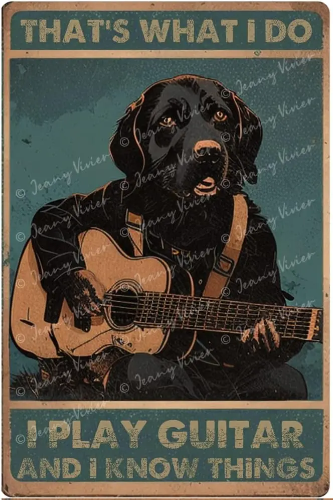 Dog Retro Metal Tin Sign That's What I Do I Play Guitar and I Know Things Dachshund Funny Poster Funny Garage Decor Humor Ma