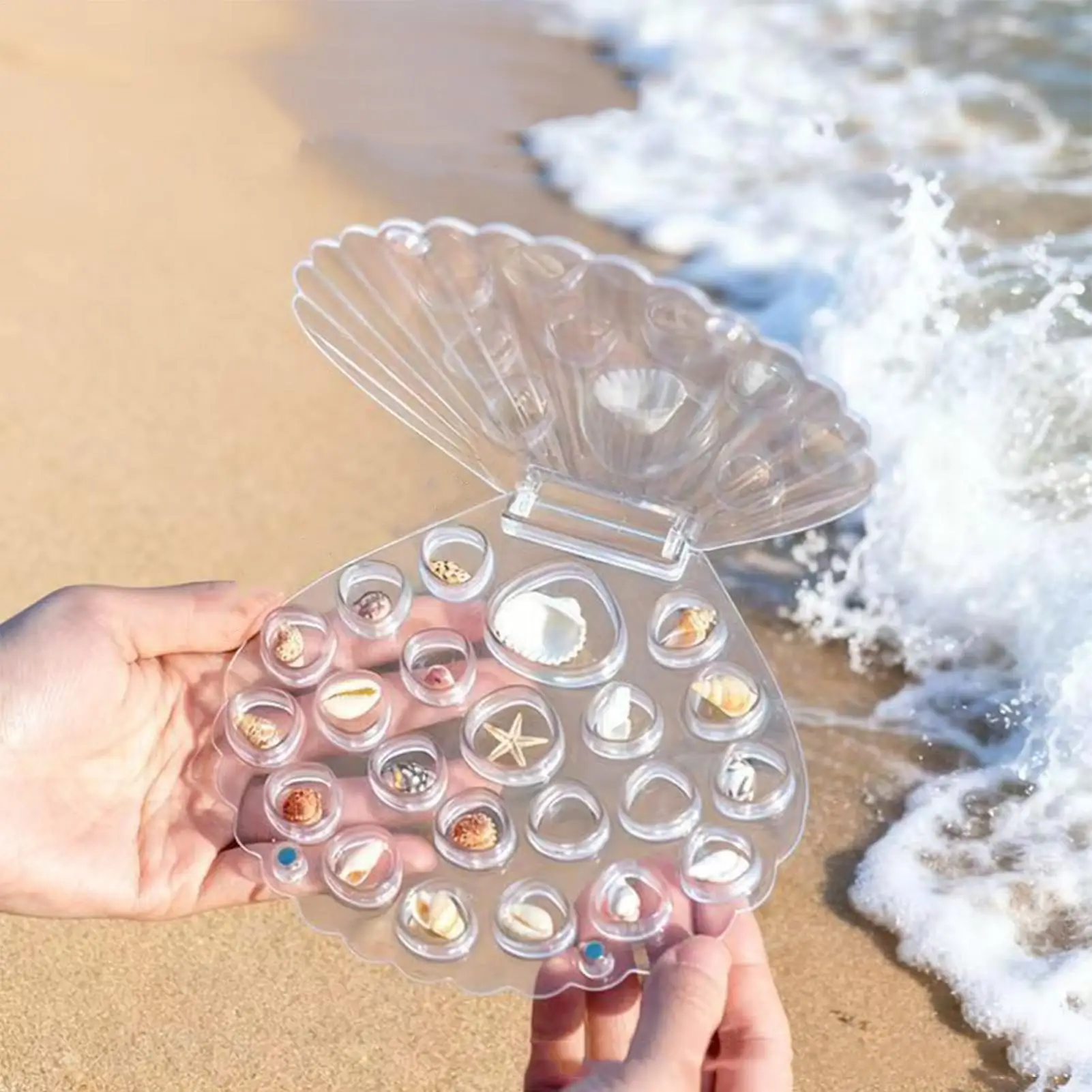 Shell Holder Clear Multi-Compartment Storage Box Magnetic Je