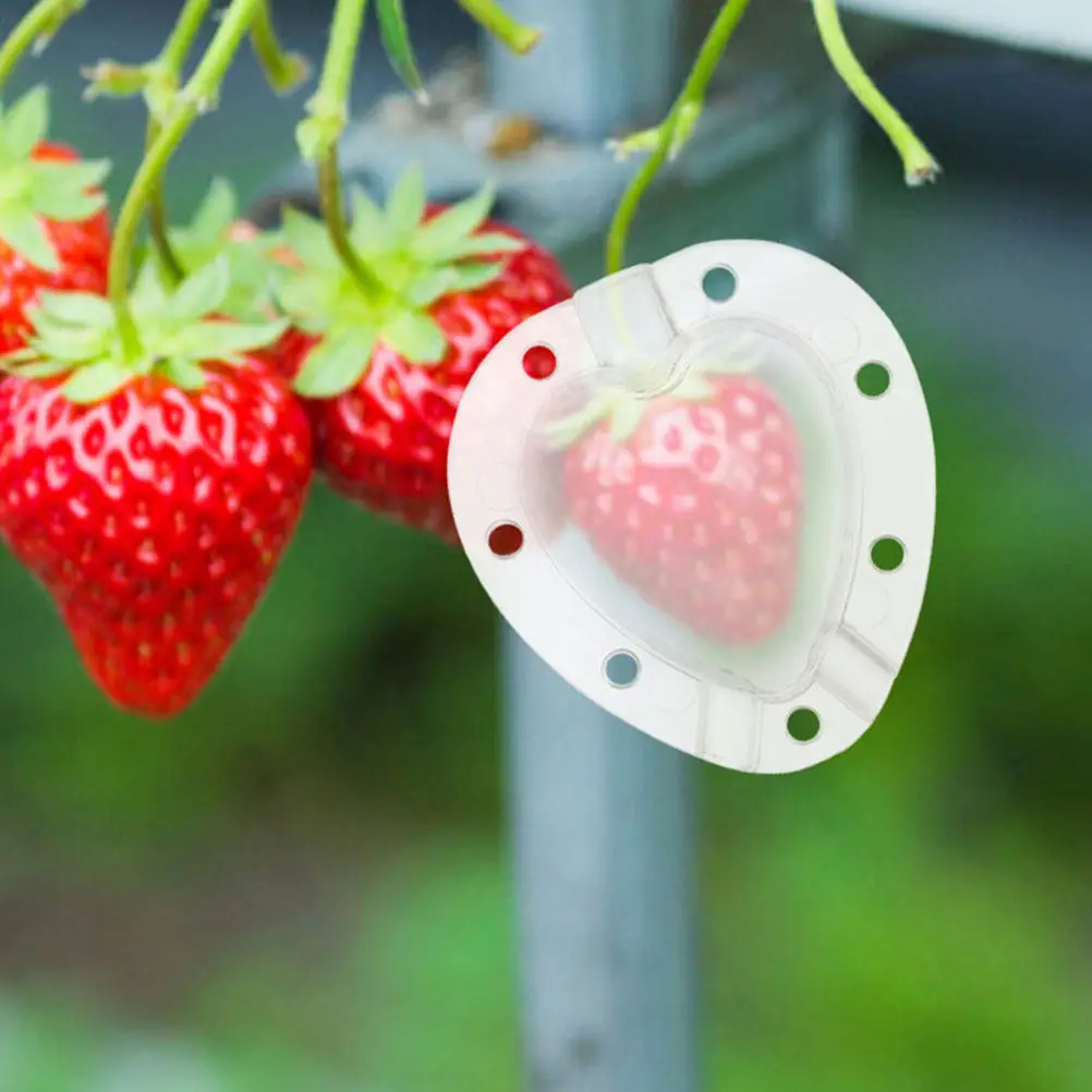 Heart-Shaped Fruit Growth Mold Reusable Plastic Shaping Tool for Cherry Tomatoes Strawberries Vegetables DIY Garden Vegetable
