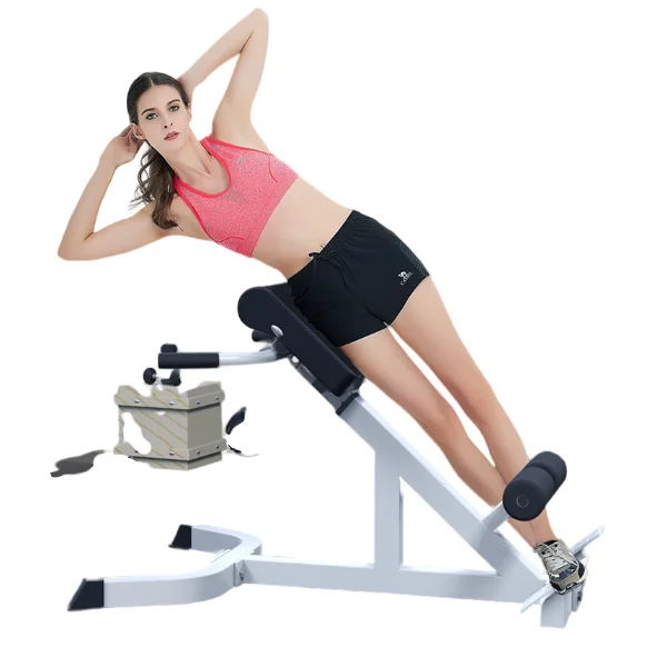 

High Quality Commercial Fitness Equipment-roman Chair Reverse Hyper Extension Indoor Use Lower Back Exercise Benches Back
