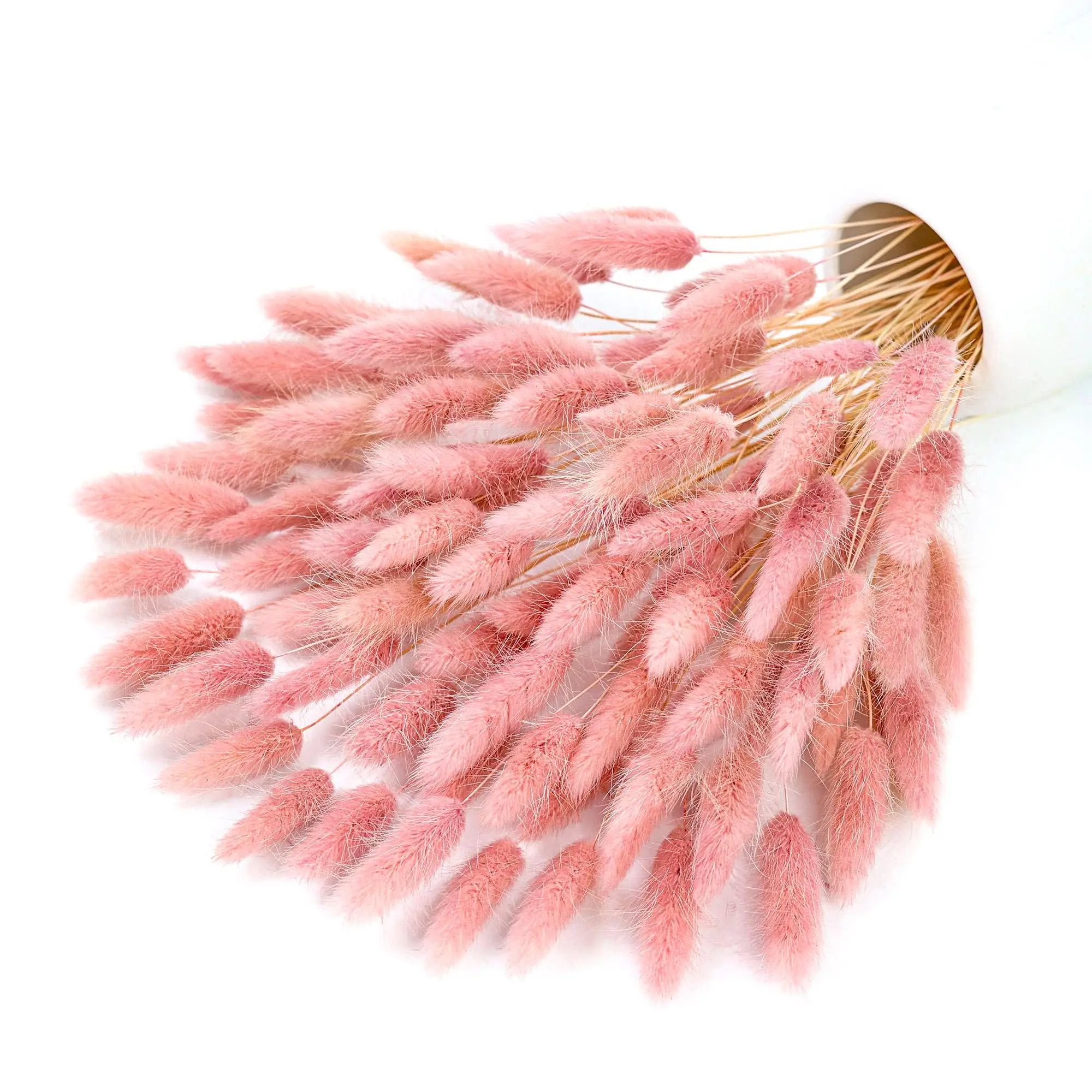 Queues de lapin Pampas séchées roses, 120 tiges, décoration d'herbe, fleurs Pompas pour centre de Table de mariage Boho, décoration de Table de maison et de chambre à coucher
