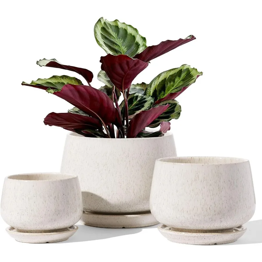 

Plant Pots 4.1+5.1+6.5 inch Set of 3 Ceramic Planters with Drainage Hole and Saucer Indoor Flower Pot with Hole Mesh Pad Gifts