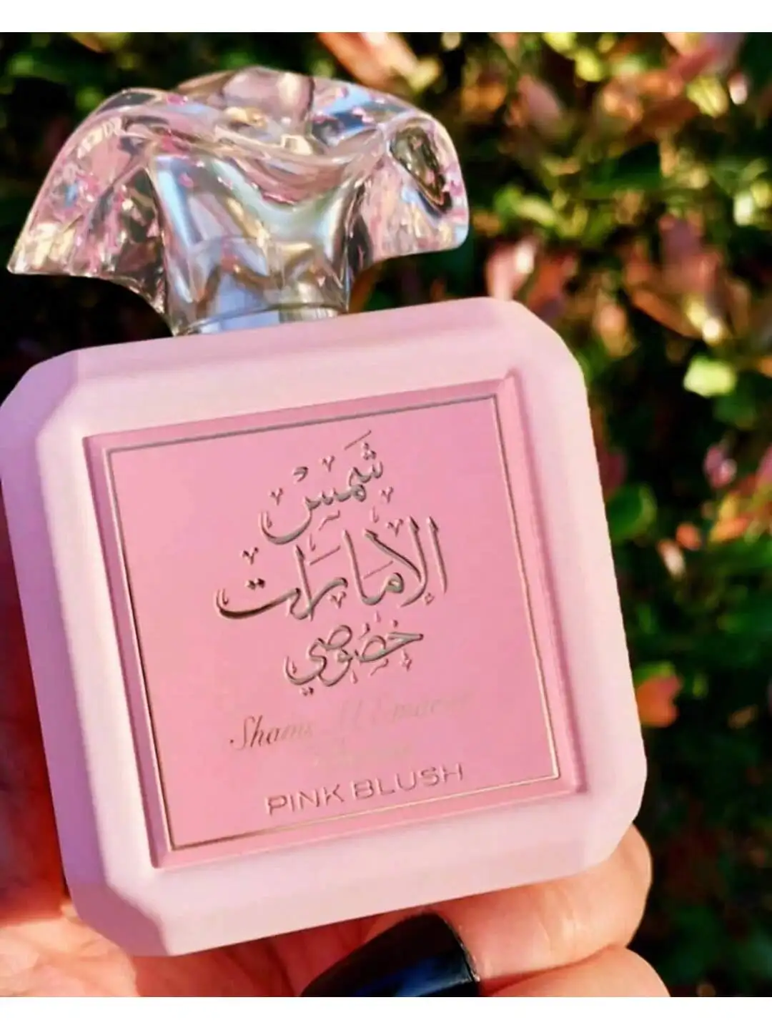 

Pink Marshmallow Eau De Parfum 3.4oz – Sweet Romantic Floral-Sugary Scent, Long-Lasting