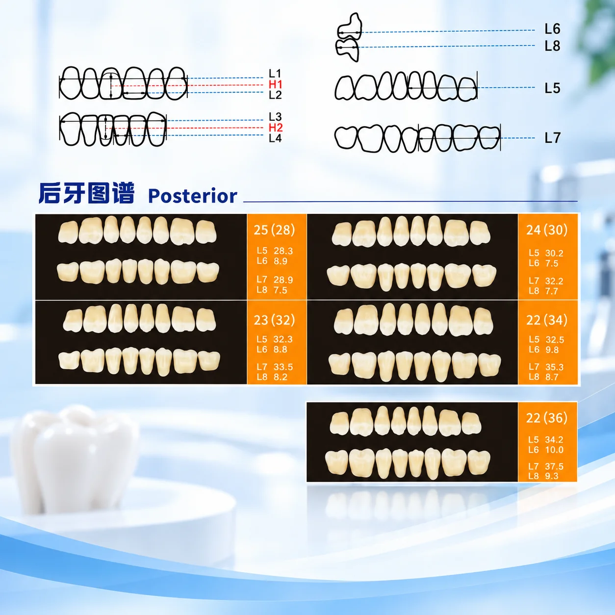 Smilezir Dental Denture Acryli - Resin Art Set 评论和价格